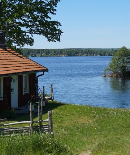 Grunt to wiedza. Podatki i obowiązki związane z działkami i nieruchomościami 6 - WiadomościHandlowe.com.pl Grunt to wiedza. Podatki i obowiązki związane z działkami i nieruchomościami