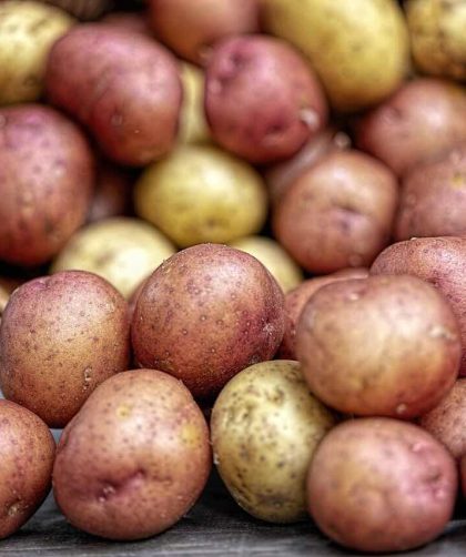 Kolorowe ziemniaki czyli „superfoods” po polsku