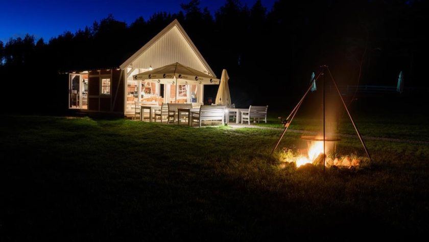 Weekend, który zmienia relację z psem – pierwsza edycja Psiej Akademii 1 - WiadomościHandlowe.com.pl weekend-ktory-zmienia-relacje-z-psem-pierwsza-edycja-psiej-akademii