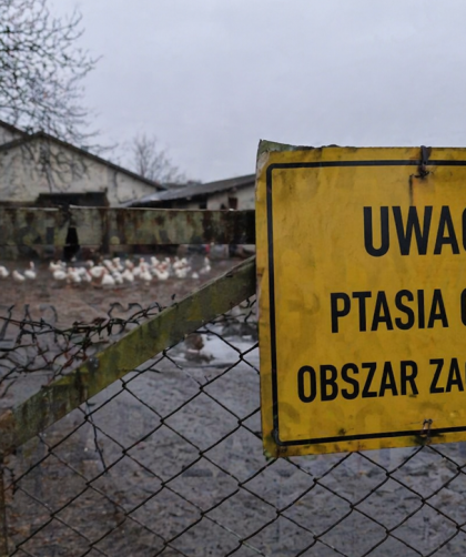 „Pogotowie sanitarne kraju „Pogotowie sanitarne” kraju - Wiadomości Handlowe