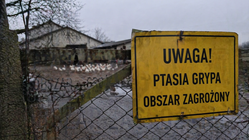 „Pogotowie sanitarne kraju „Pogotowie sanitarne” kraju - Wiadomości Handlowe