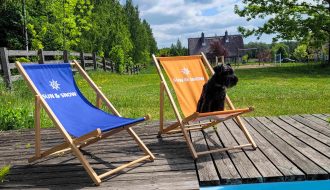 wakacje-z-psem-to-za-malo-sun-snow-ruszyl-z-psia-akademia-dla-opiekunow-i-przyjaciol-czworonogow