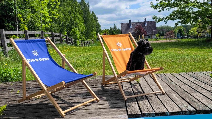 wakacje-z-psem-to-za-malo-sun-snow-ruszyl-z-psia-akademia-dla-opiekunow-i-przyjaciol-czworonogow